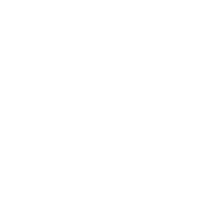 fulfillment services icon